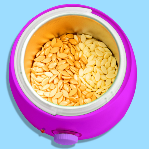Wax Melting! Frozen Honey app icon