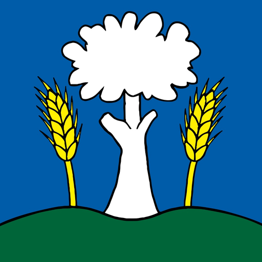 Boliarov app icon