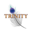 TRINITY-黄泉がえりサロン- icon