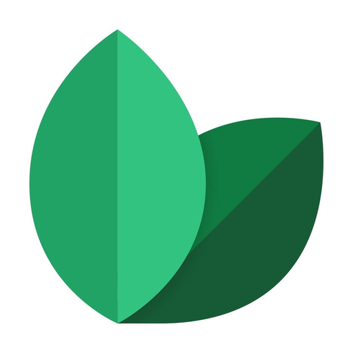 TreeMarket app icon