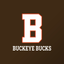 Buckeye Local Schools icon