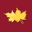 FNB Grayson Online icon
