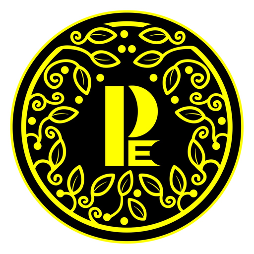 Paneri Kurtis app icon