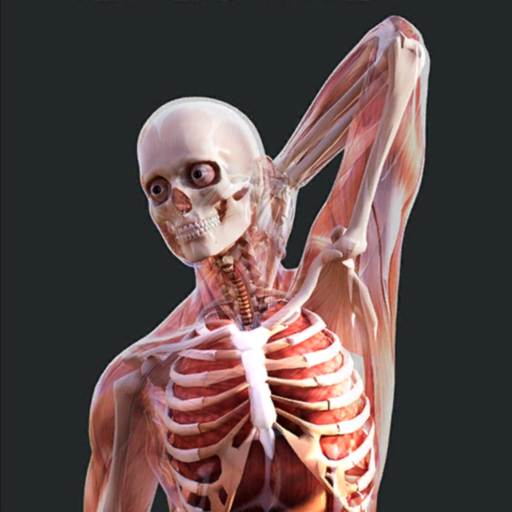 Irusu Human Anatomy app icon
