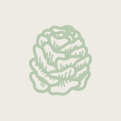 Naturals&co | Santé au naturel app icon