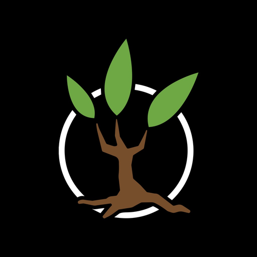 Lakeview Baptist Church app icon