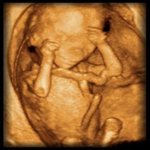 BCM OB Ultrasound app icon