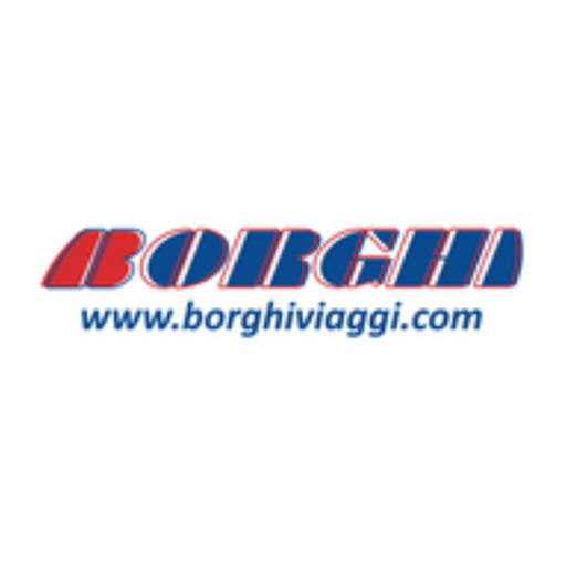 Borghi Fuel app icon