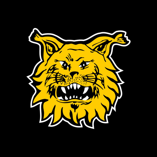 Tampereen Ilves app icon