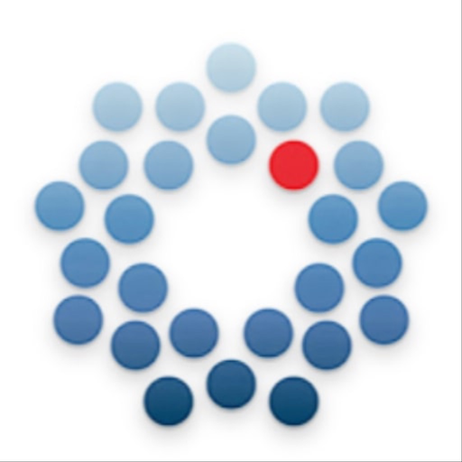VizaView app icon