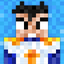 Skin for Minecraft icon