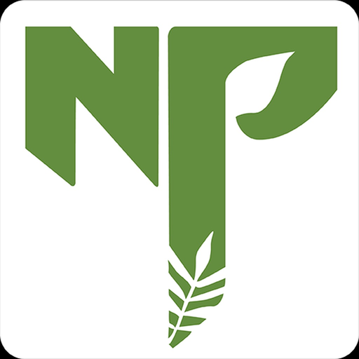 Nand Persaud Store app icon