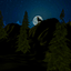 Last Day on Forest Survival 3D icon