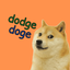 Dodge Doge icon