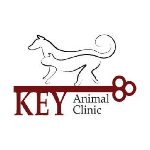 Key Animal Clinic app icon