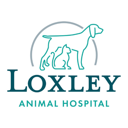 Loxley Animal Hospital app icon