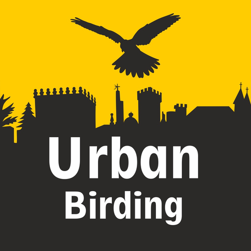 URBAN BIRDING app icon