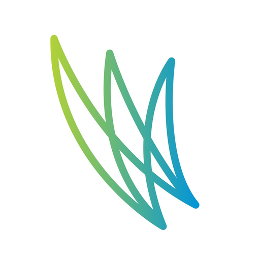 WordFlight Student app icon