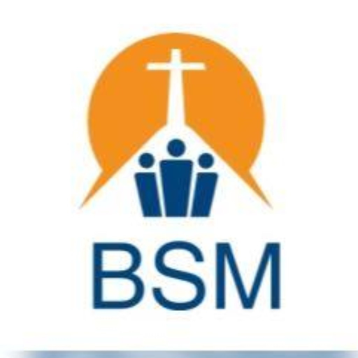 BSM RADIO-TV app icon