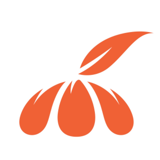 Mandarin: доставка еды app icon