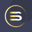 Elasan Solutions icon