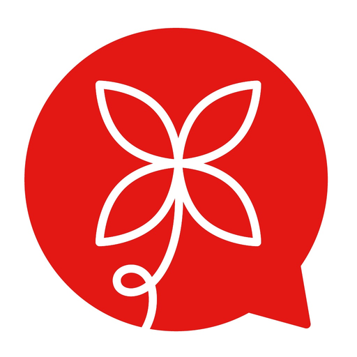 Lingdys Lesevenn app icon