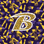 Bryan Golden Bears Basketball icon