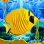 Endless Fish Running Game icon