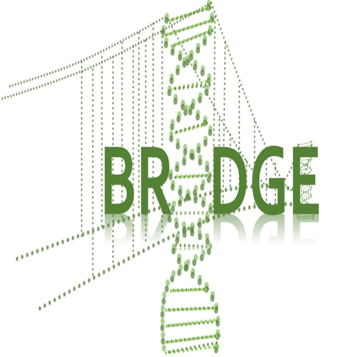 GeneBridge app icon