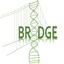 GeneBridge icon