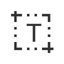 Screen text getter icon