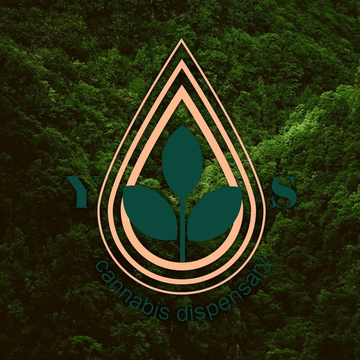 Yerba Santa app icon
