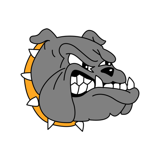 Madison-Virgil USD 386 app icon
