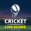 Worldcup - Live Cricket Scores icon