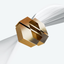 SALT Conferences icon