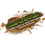 Mud-Skipper icon