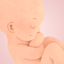 Contraction Timer - Kick Count icon