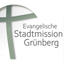 STAMI Grünberg icon