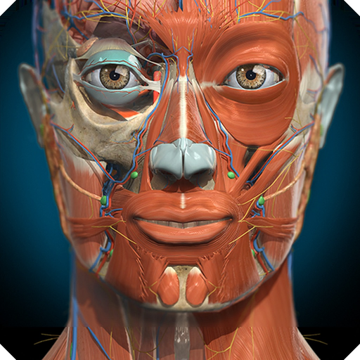 Anatomy Learning - 3D Anatomy app icon