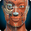 Anatomy Learning - 3D Anatomy icon