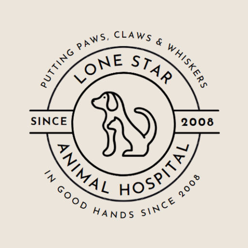 Lone Star AH app icon
