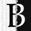 Blanks icon