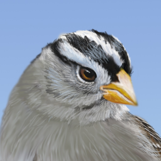 iBird Yard+ Guide to Birds app icon