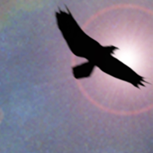Shamanic Journey Drumming - Frauke Rotwein app icon