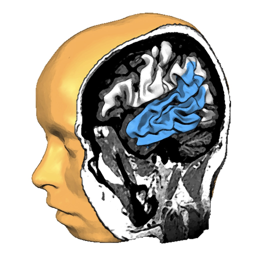 Brain Tutor 3D app icon