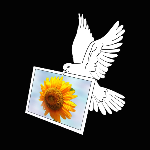 Air Photo Wifi Printing app icon