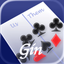 GinSC icon