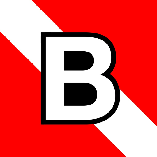 Baltic Deco Planner app icon
