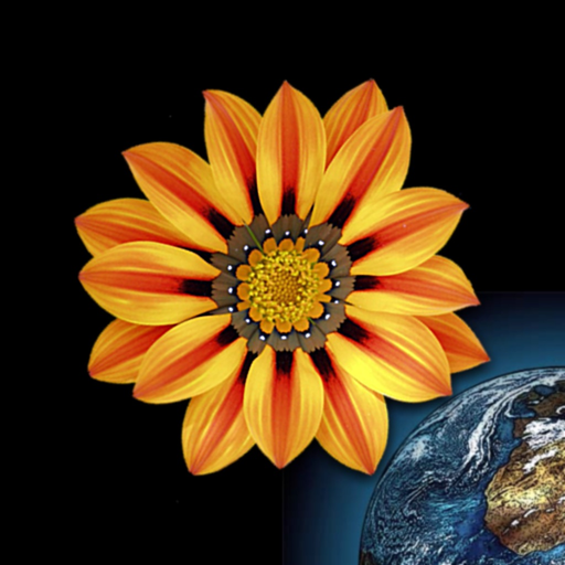 Web Images app icon
