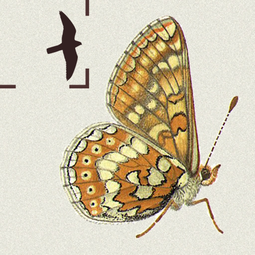 British & Irish Butterflies app icon